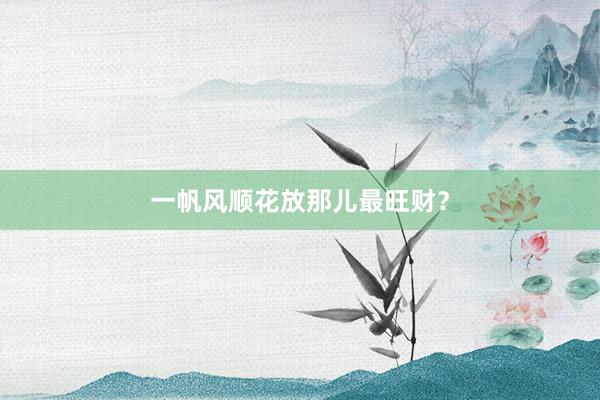 一帆风顺花放那儿最旺财？
